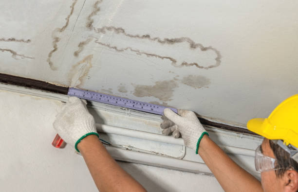 Reliable Mold Remediation contractor in New Holland, SD by Water Damage Irwin